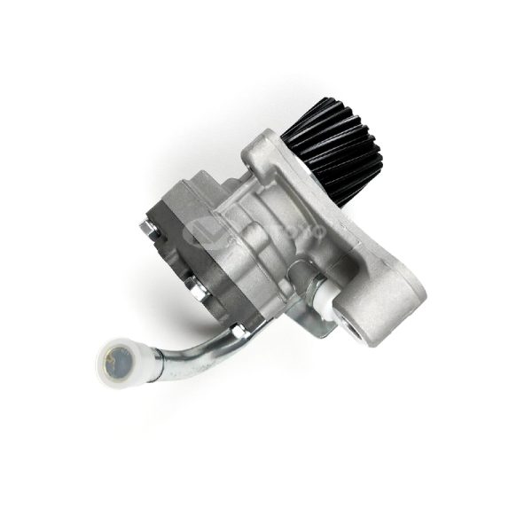 MK383006(3