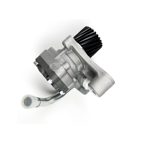 MK383006(4