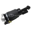 3L1Z18125AB (7)