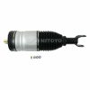 dodge ram 3D0 616 039D (2)