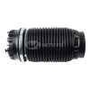 RAM 1500 4877136AB (1)