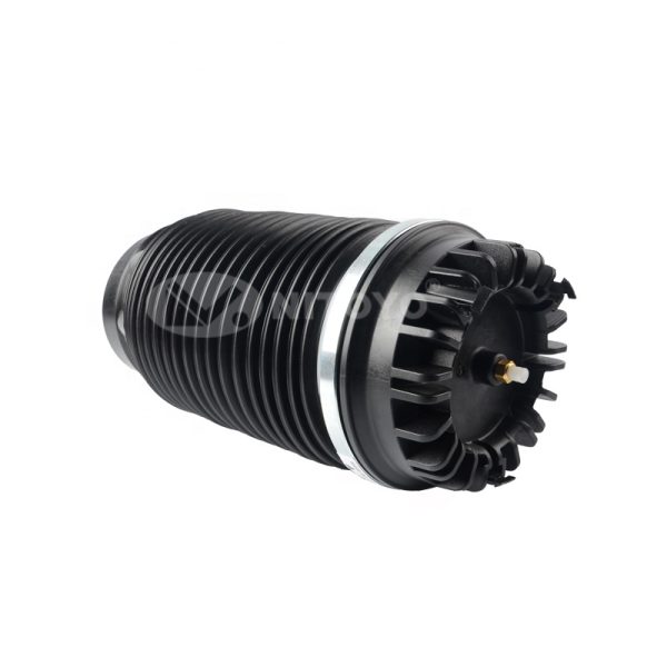 RAM 1500 4877136AB (4)