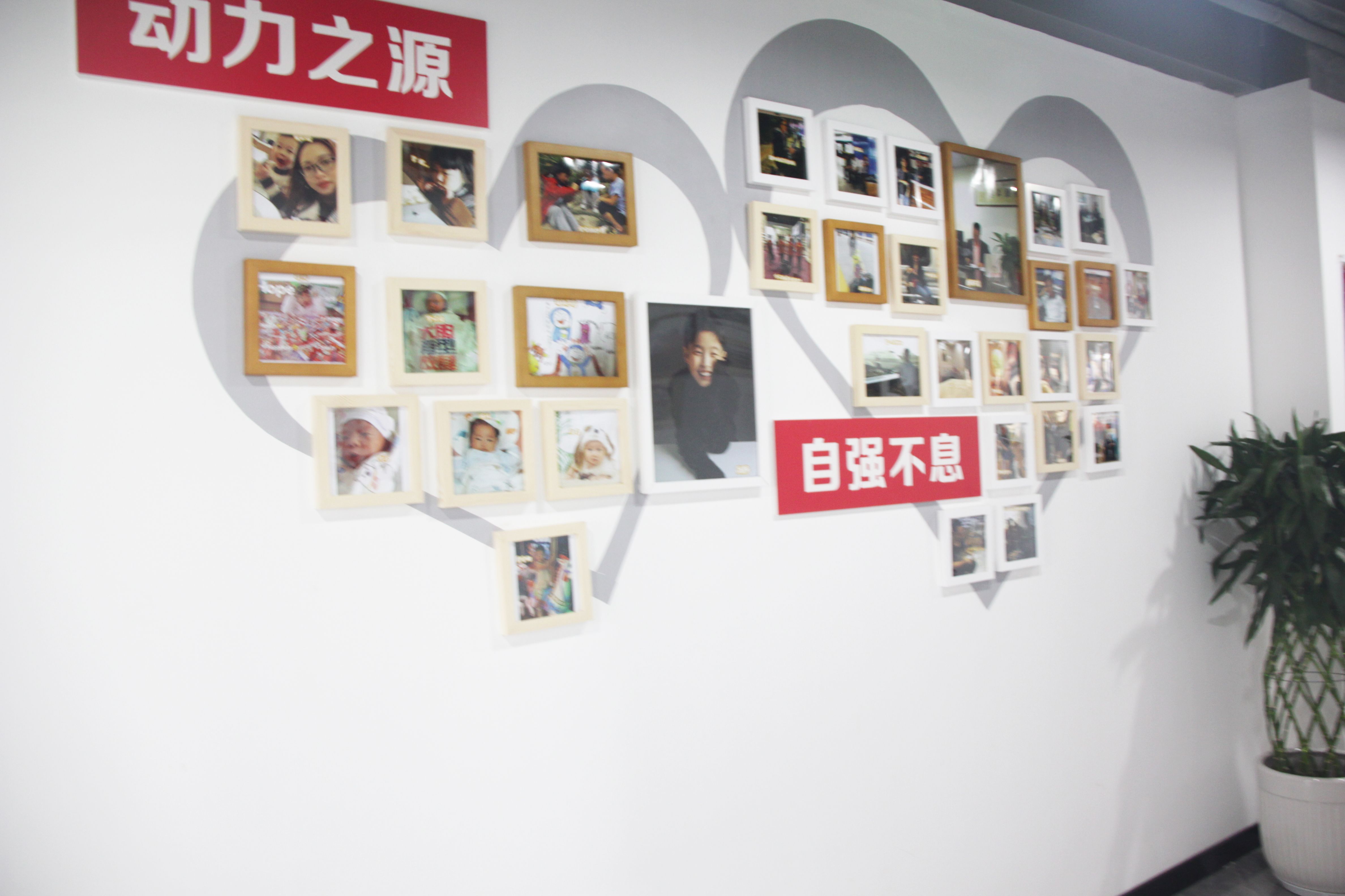 NITOYO BIG NEWS